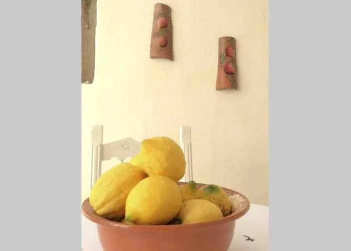 House Σπίτι διακοπών Σκιάθος Πόλη